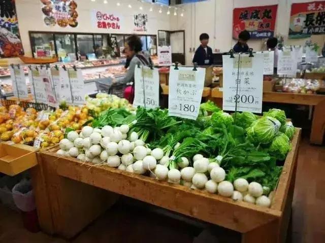 日本农业十大经典精髓,日本农业值得研究的点