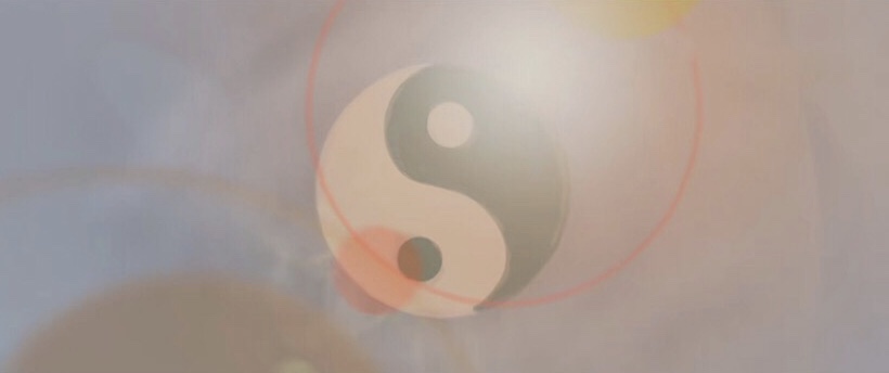 好莱坞电影功夫熊猫的文化元素,为什么功夫熊猫是美国好莱坞大片