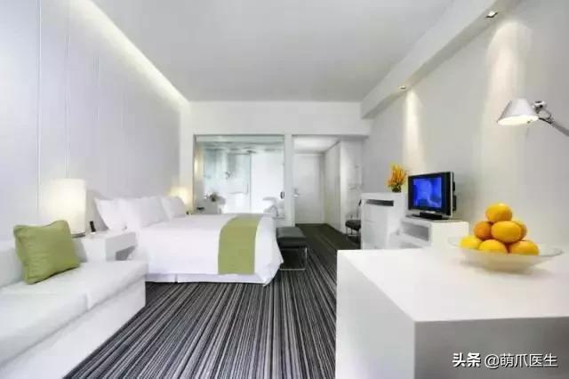 上海可带宠物入住的酒店推荐,怎么选宠物友好酒店房间