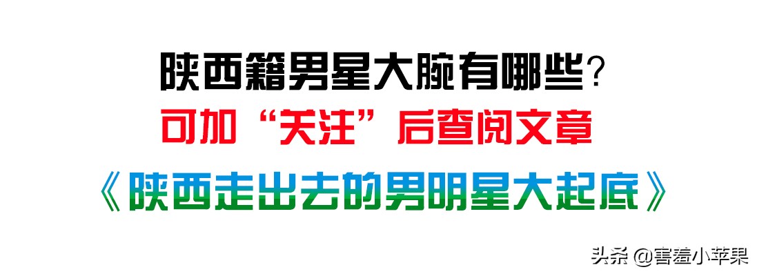 陕西籍女星大起底!佟掌柜带队回家过年,至少坐10桌