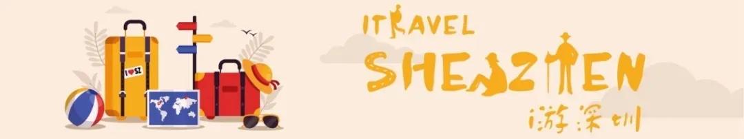 深圳看烟花的最佳地点免费,烟花深圳观看地点