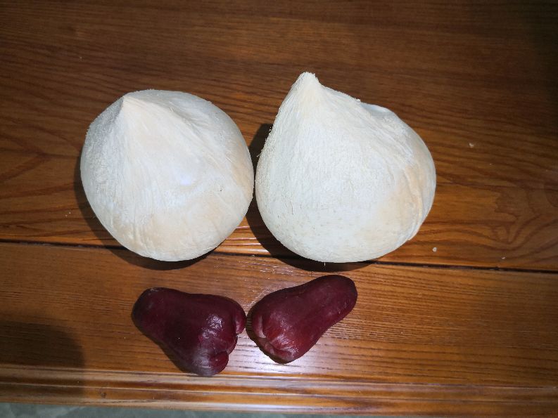 定居新疆的四川人,定居海南需要什么