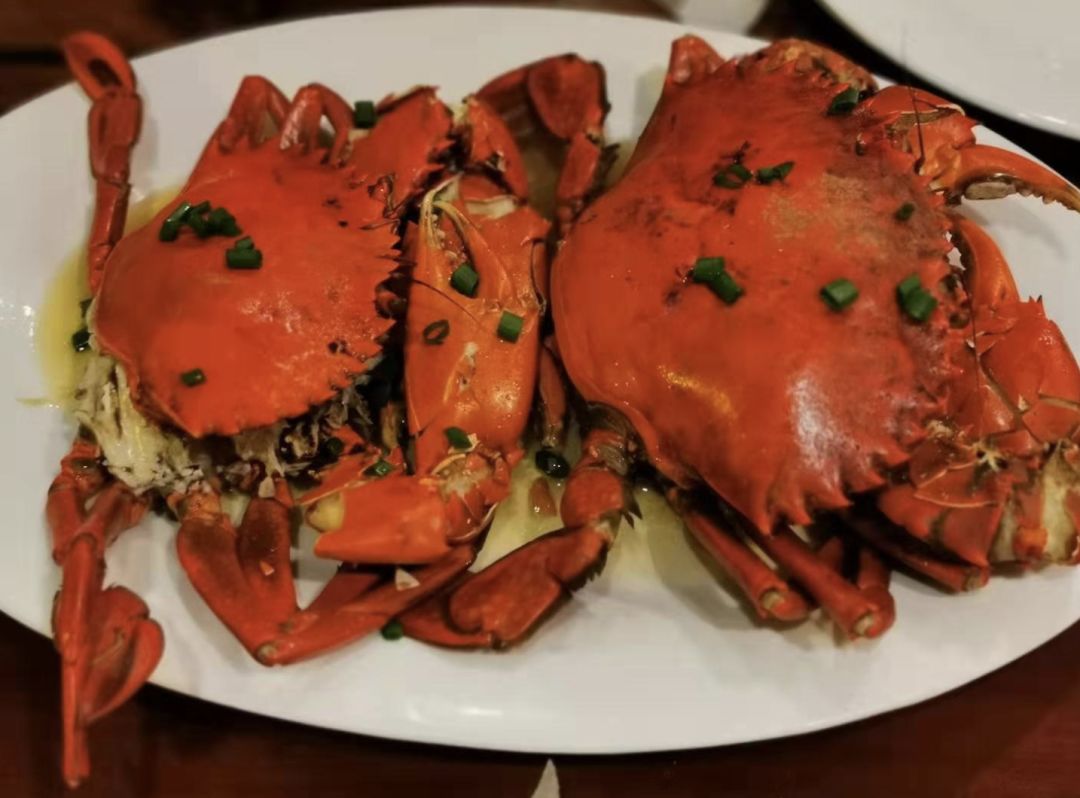 去宿雾攻略,宿雾旅行攻略