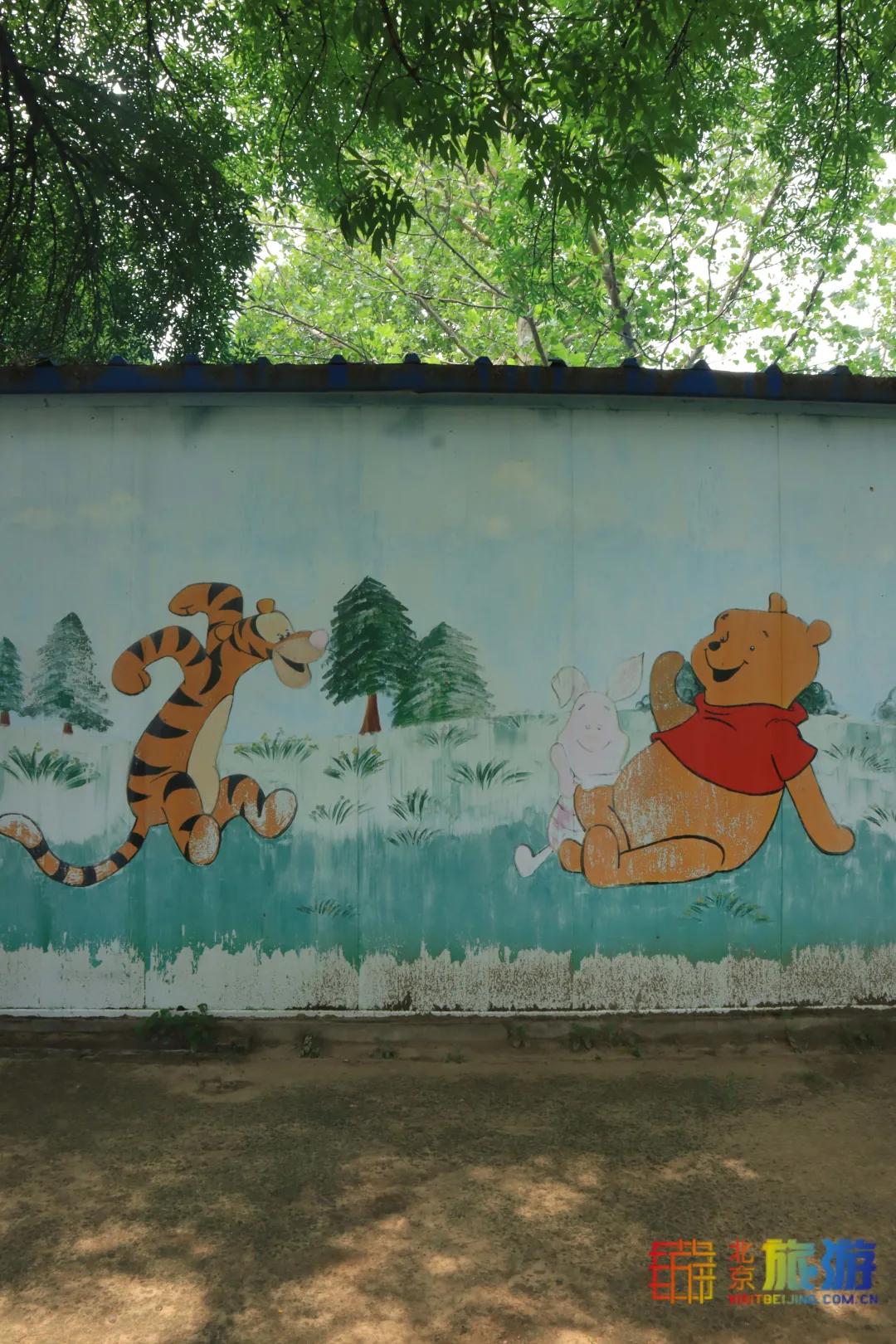 免费！市区就有“小森林”，花海芳香扑鼻！还有美好的祝福送给你