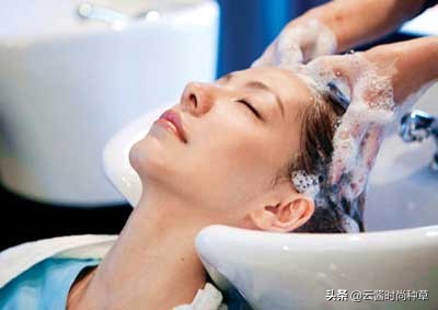 洗发水央视黑名单,飘柔潘婷和海飞丝哪种洗发水好用