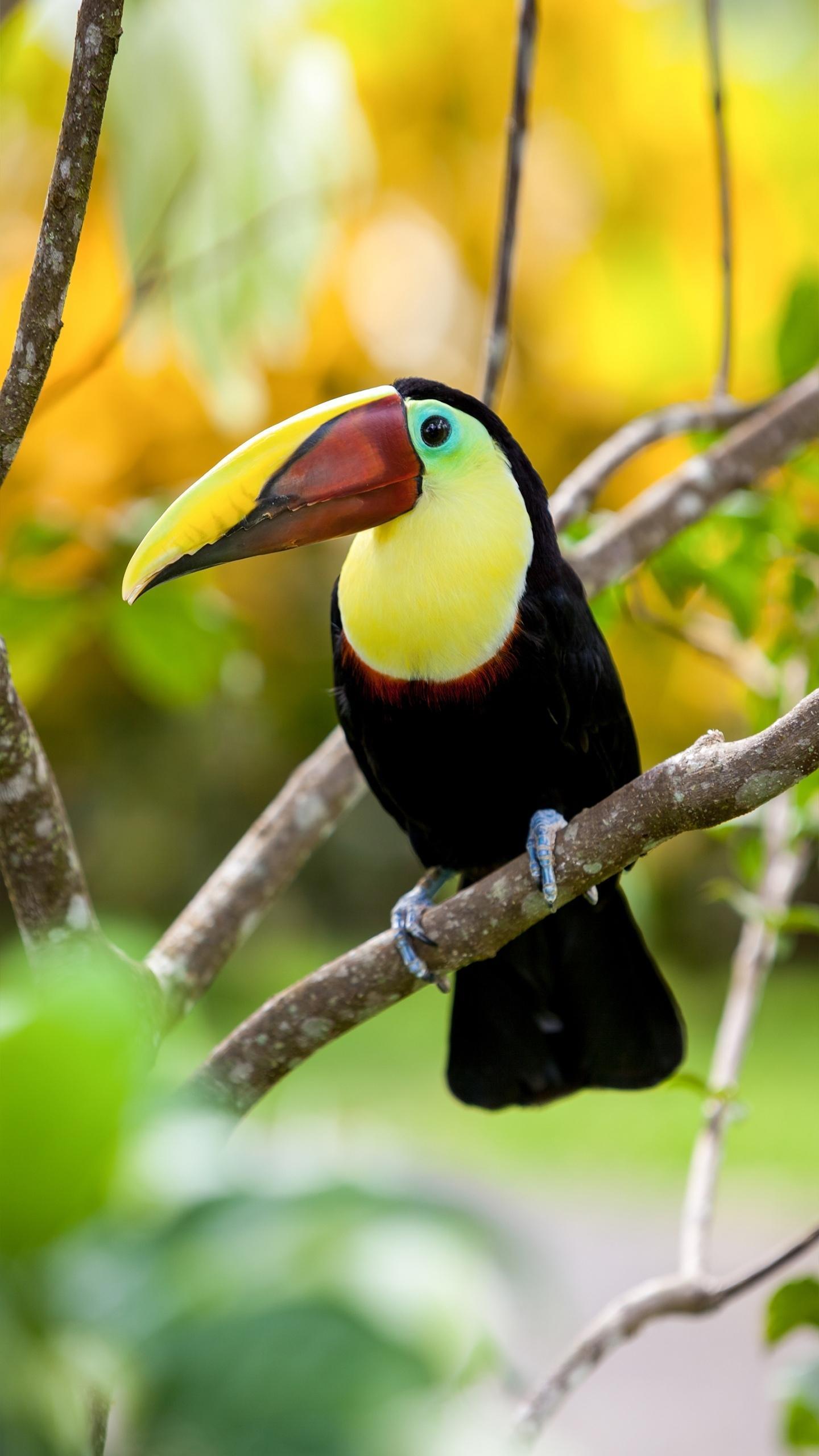 国足1:2惨败叙利亚,国足1:2负于伊拉克