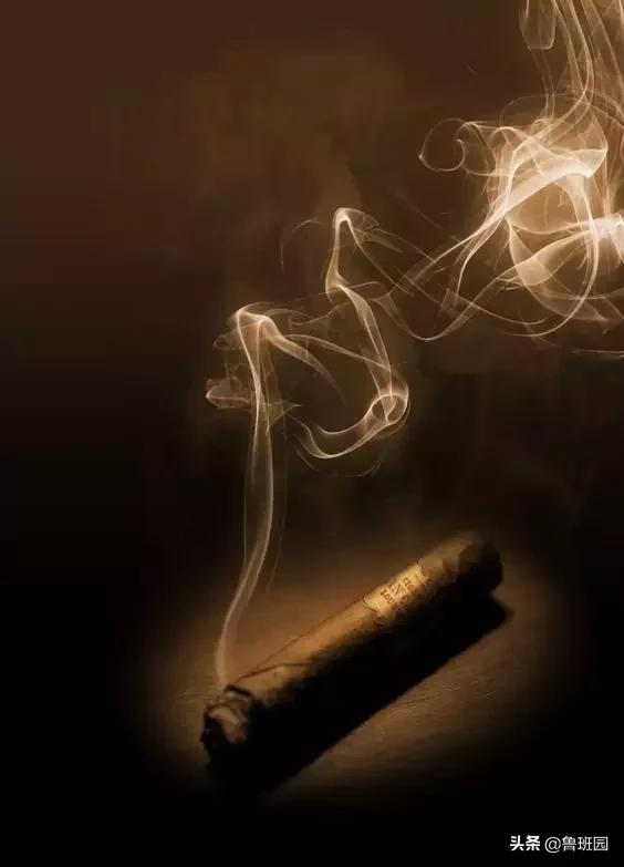 普通雪茄和高级雪茄,普通杉木和香杉木的区别