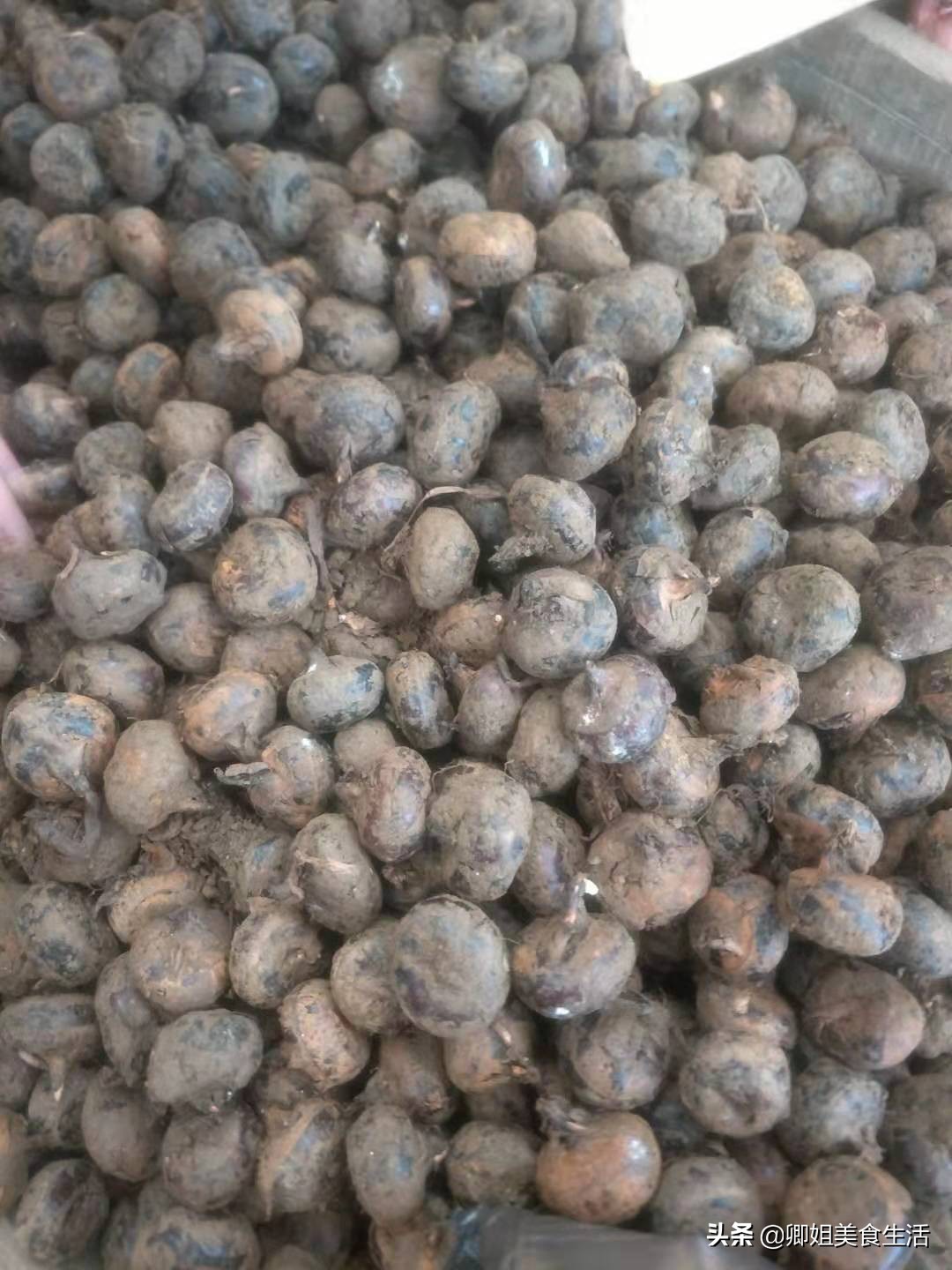 做广东滋补御寒羊肉煲，去腥法宝独家分享