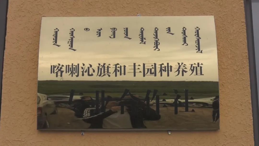 走基层看变化,走乡村看变化