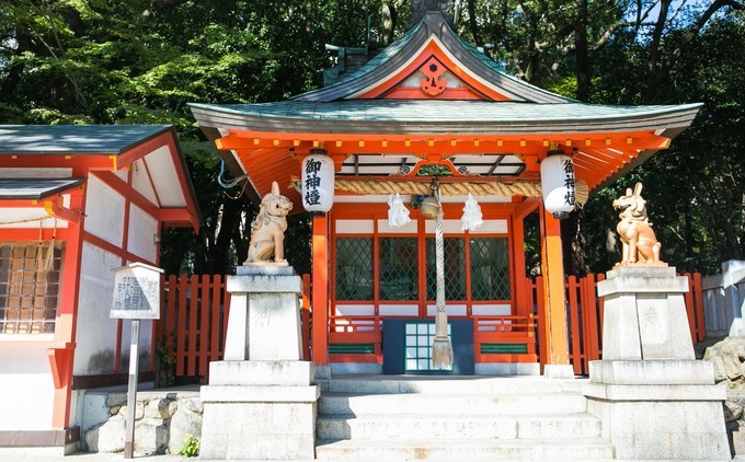 海洋光谱号邮轮旅游攻略,杭州光谱号游轮攻略