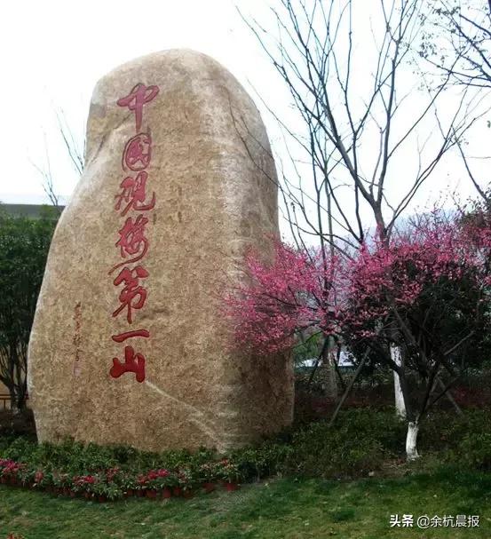 519哪些地方半价,519旅游日免门票