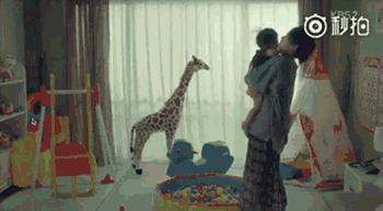 盘点谢娜摔倒名场面,谢娜坐轮椅突然摔倒