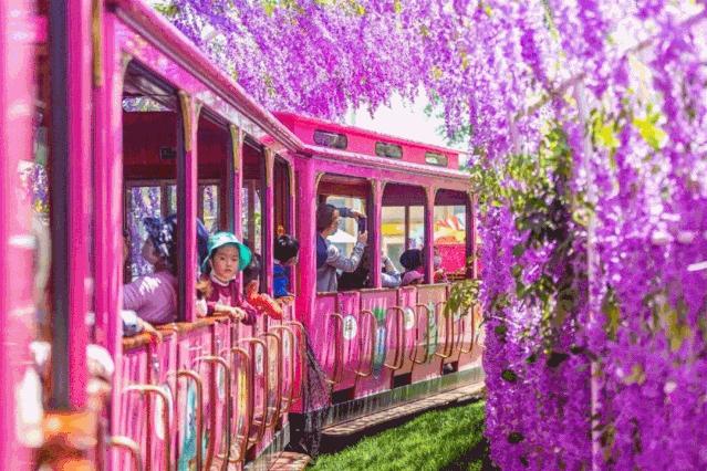 南京周末遛娃好去处,悠闲带娃好去处