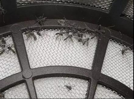 灭蚊神器家用灭蚊灯静音无辐射,灭蚊灯驱蚊子家用室内