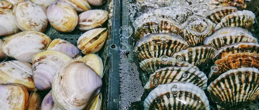 安徽生鲜传奇商业有限公司,生鲜传奇的发展现状