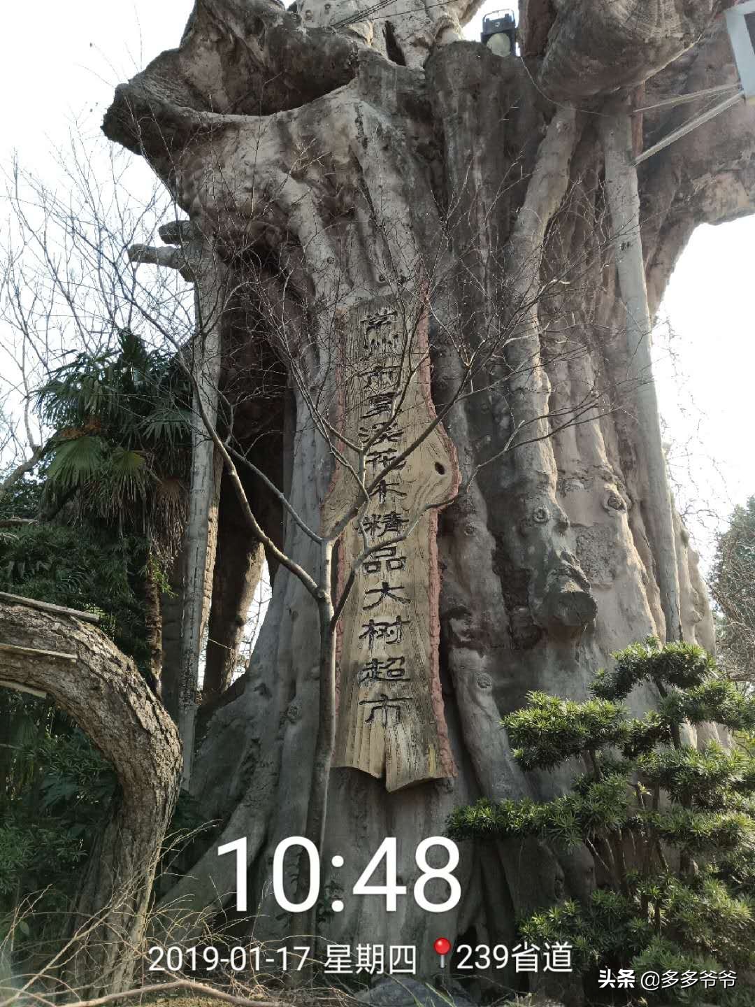 常州武进区夏溪小学,江苏省常州市武进区夏溪小学