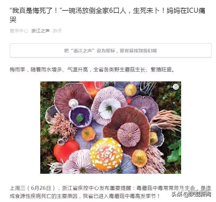 野生蘑菇吃的时候怎么辨别有毒,警惕野生蘑菇不能随便采小心中毒