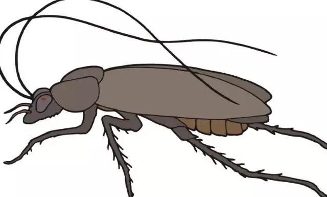 真假生活小常识,生活中常见的假常识