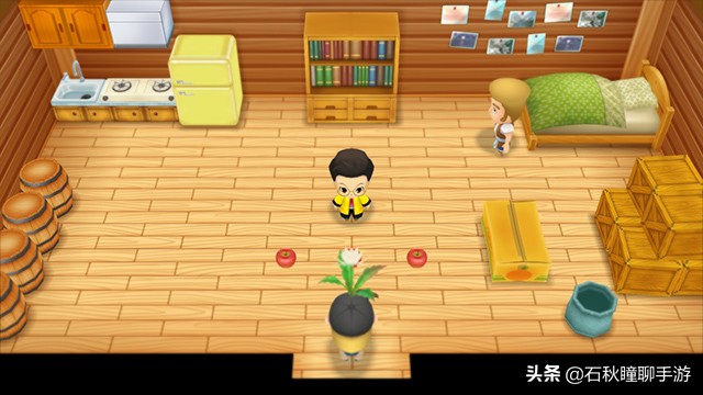 牧场物语重聚矿石镇最全攻略,牧场物语重聚矿石镇第一年冬攻略