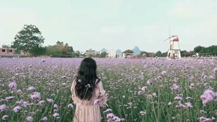 迟到的618好物推荐,618影像神器