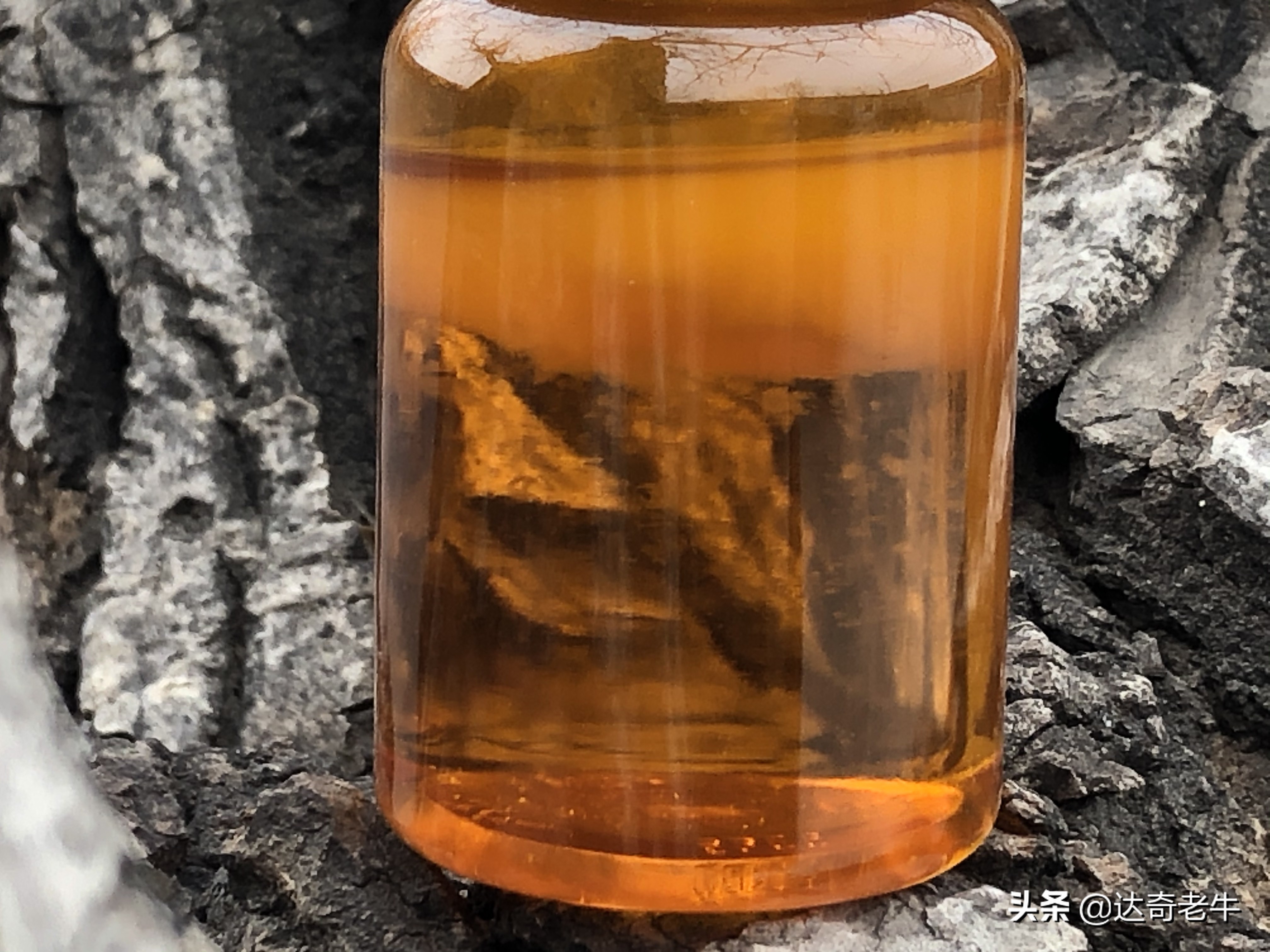 味型一样的钓鱼小药，为何价格相差10倍？业内的秘密你不知道