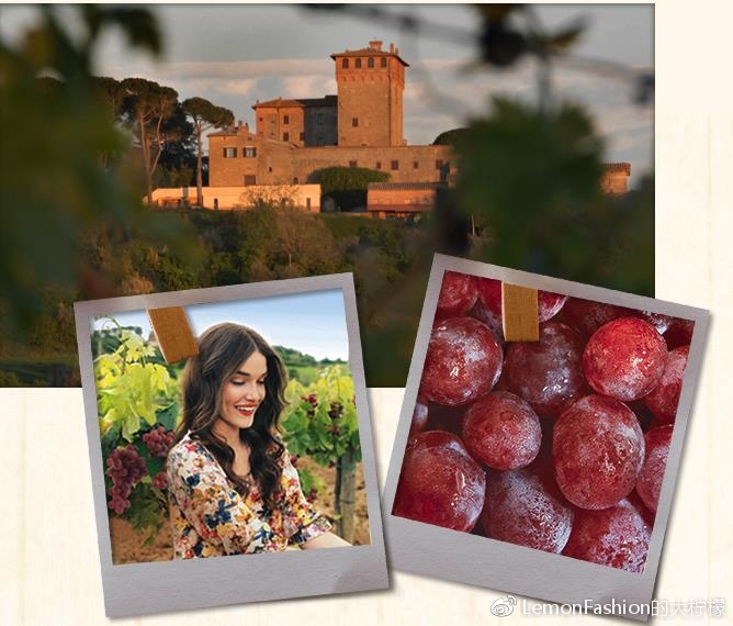 bottegaverde天猫,bottegaveneta上海佛罗伦萨