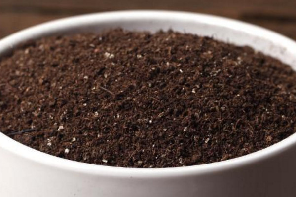 多肉用有机土好还是颗粒土好,夏天多肉用颗粒土还是营养土