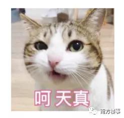 “历经15天,跨越3个国家,我还是买不到口罩”