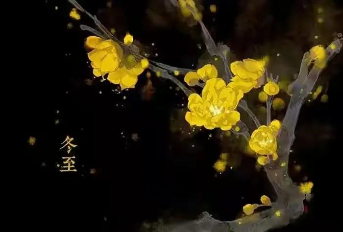 小帘,小帘沽酒看梅花