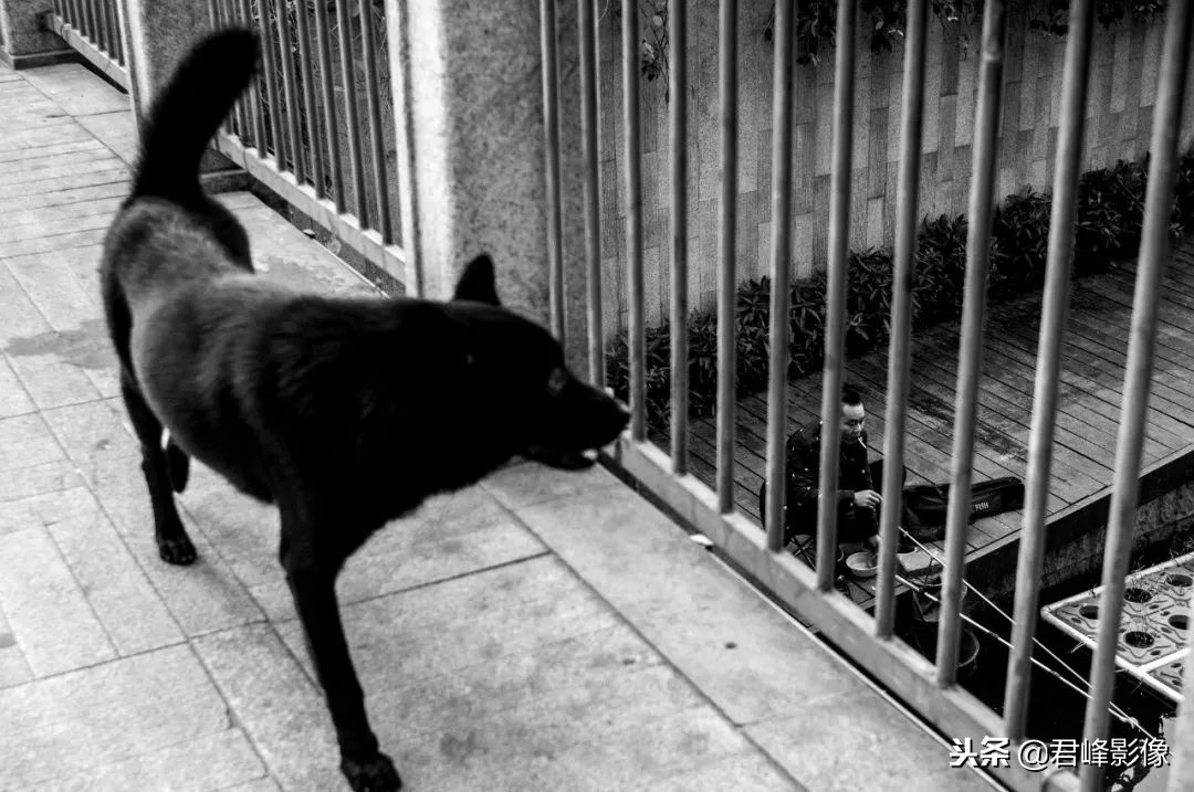 2018年那些感动瞬间,2018那些感动的视频