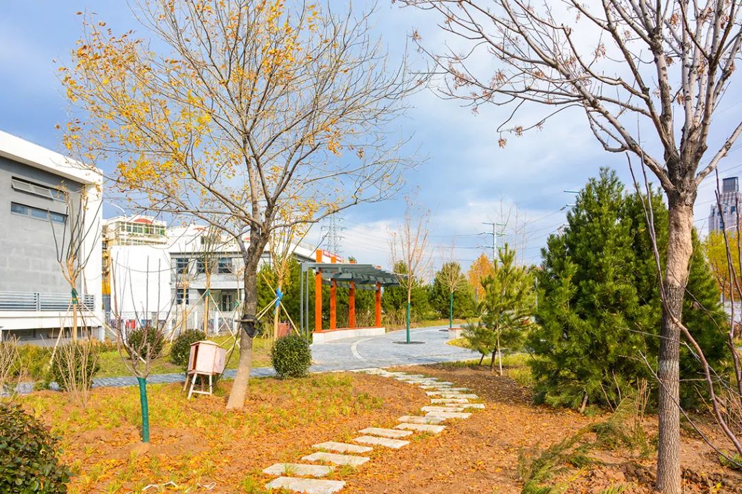 北京新开40个公园在哪里,北京十佳公园