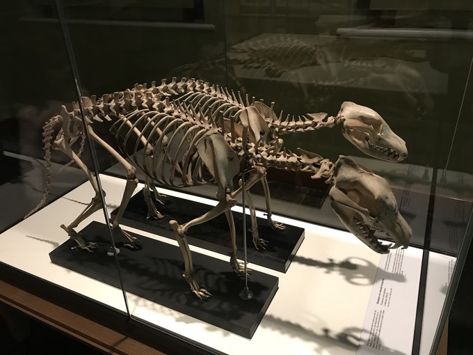 去墨尔本演出,马云到墨尔本见老友