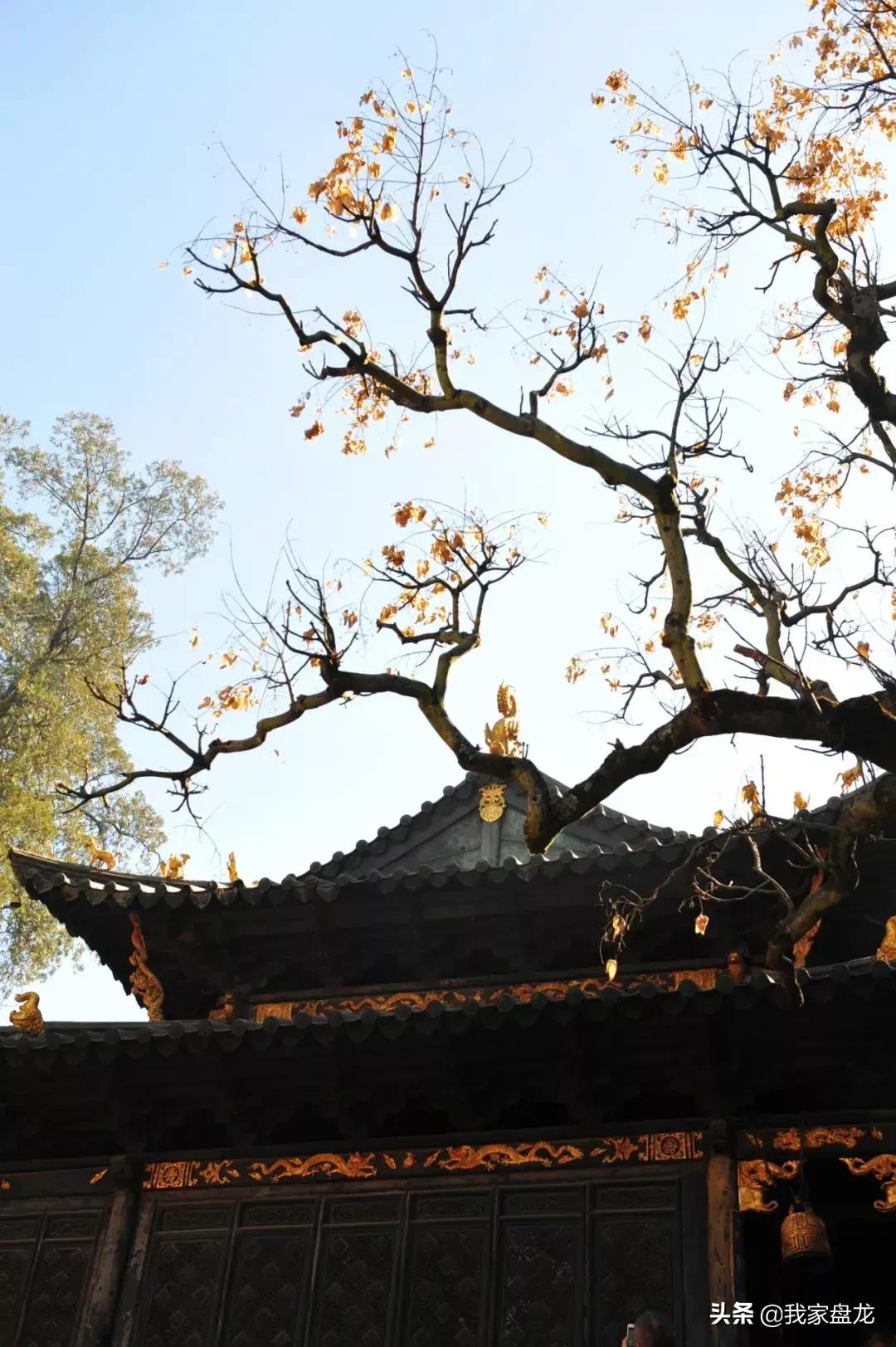 金殿的来历简介,金殿的前世今生