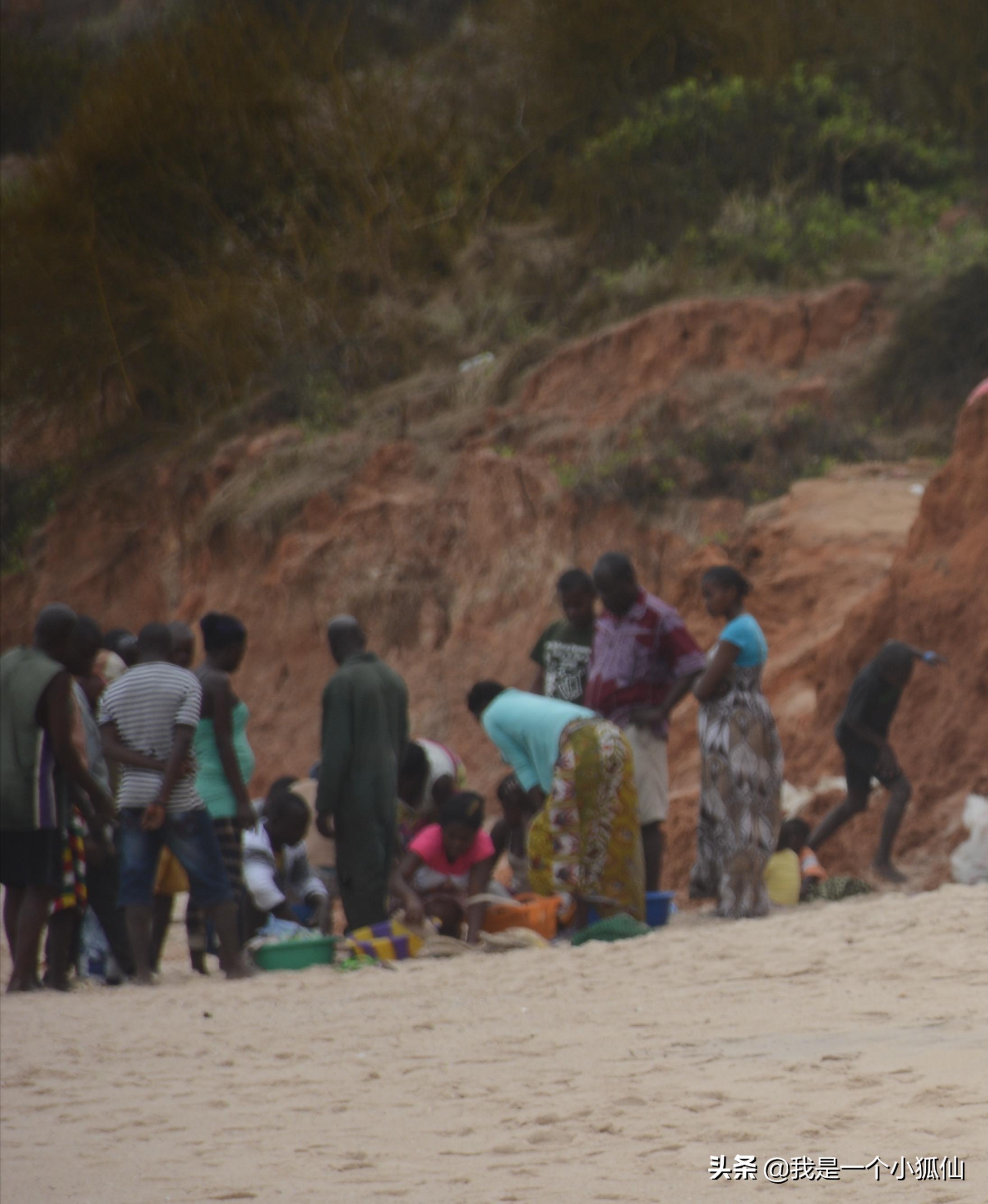 我在安哥拉海边等着驾独木舟打渔的黑人回来，买他们刚捞到的海鲜