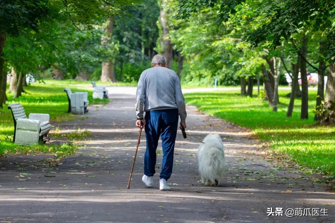 鐚吇浜虹被,鐚吇鍏殑绮樹汉杩樻槸姣嶇殑绮樹汉