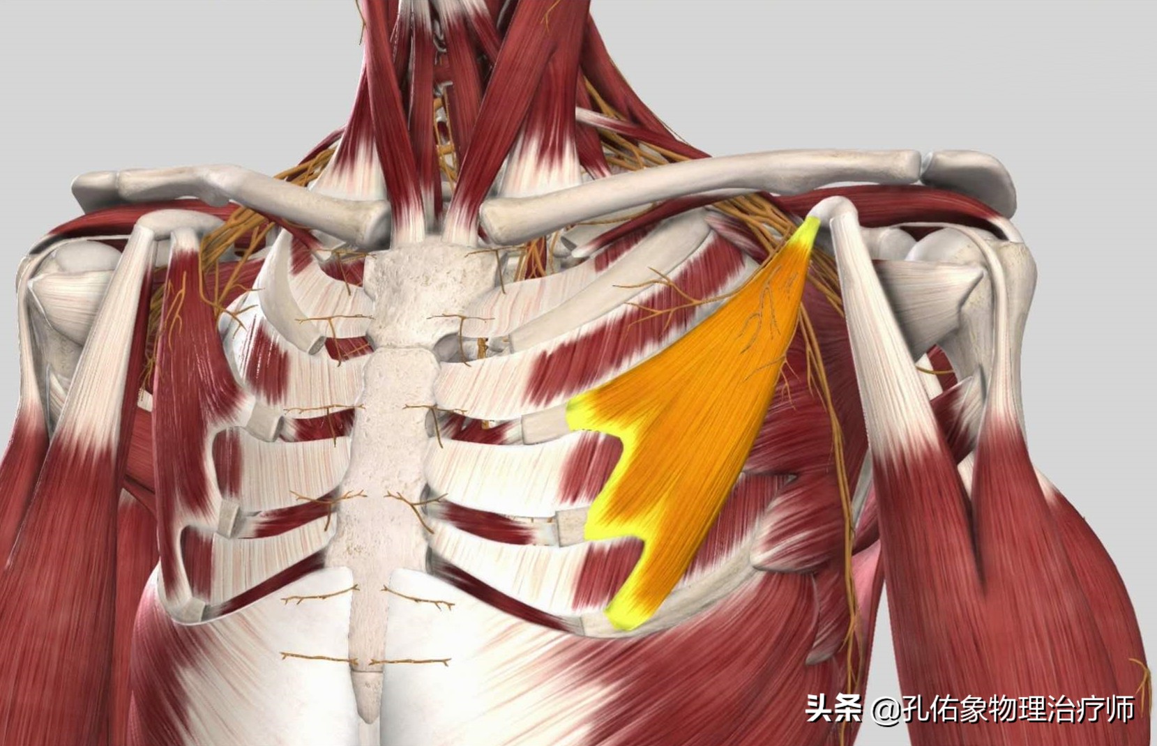 手指麻木是三大疾病前兆,手指麻木疼痛怎么治疗最好