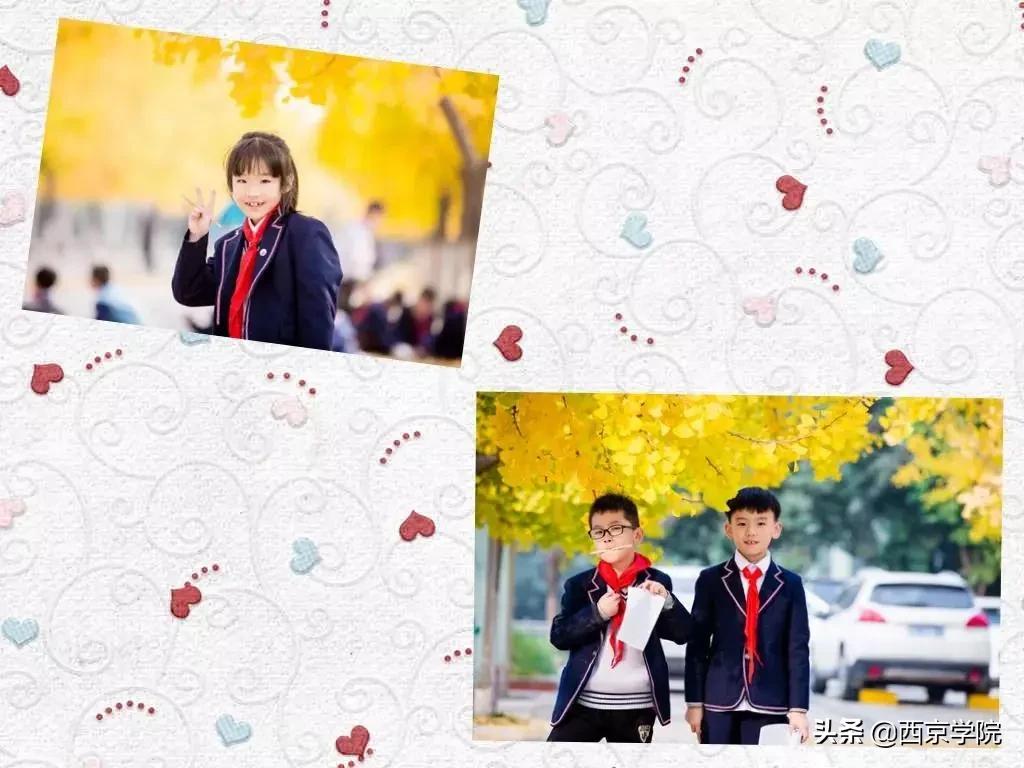 长安区西京小学教学质量怎么样,西京小学办学特色