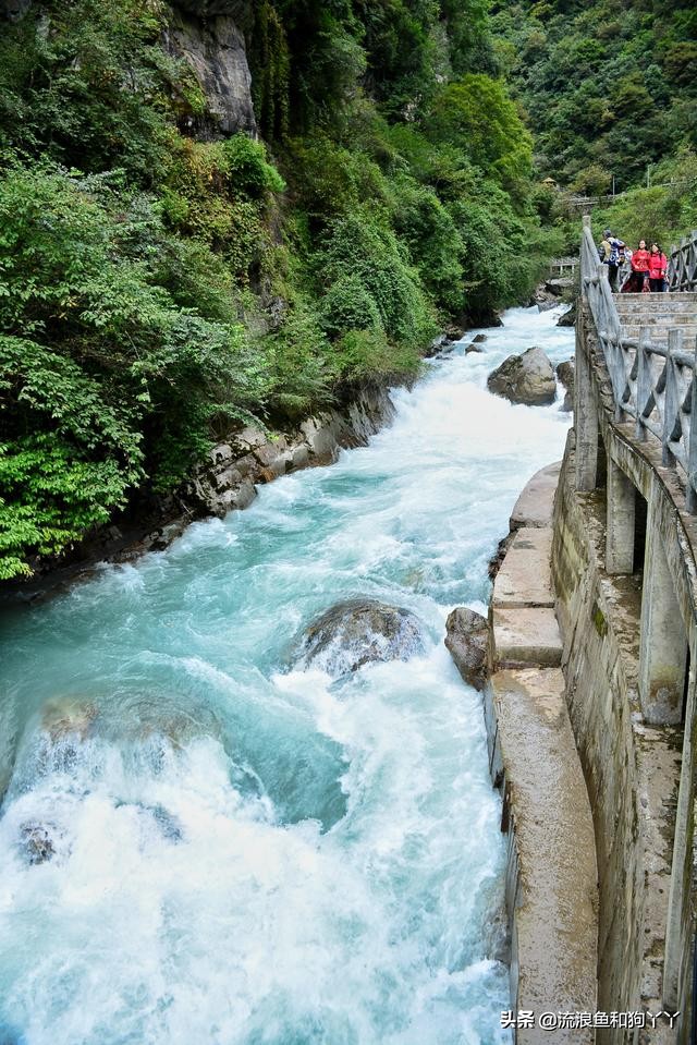 二郎山喇叭河看鹿,二郎山喇叭河看日出攻略