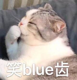 猫咪老尿床什么办法治它,猫咪经常尿床怎么纠正