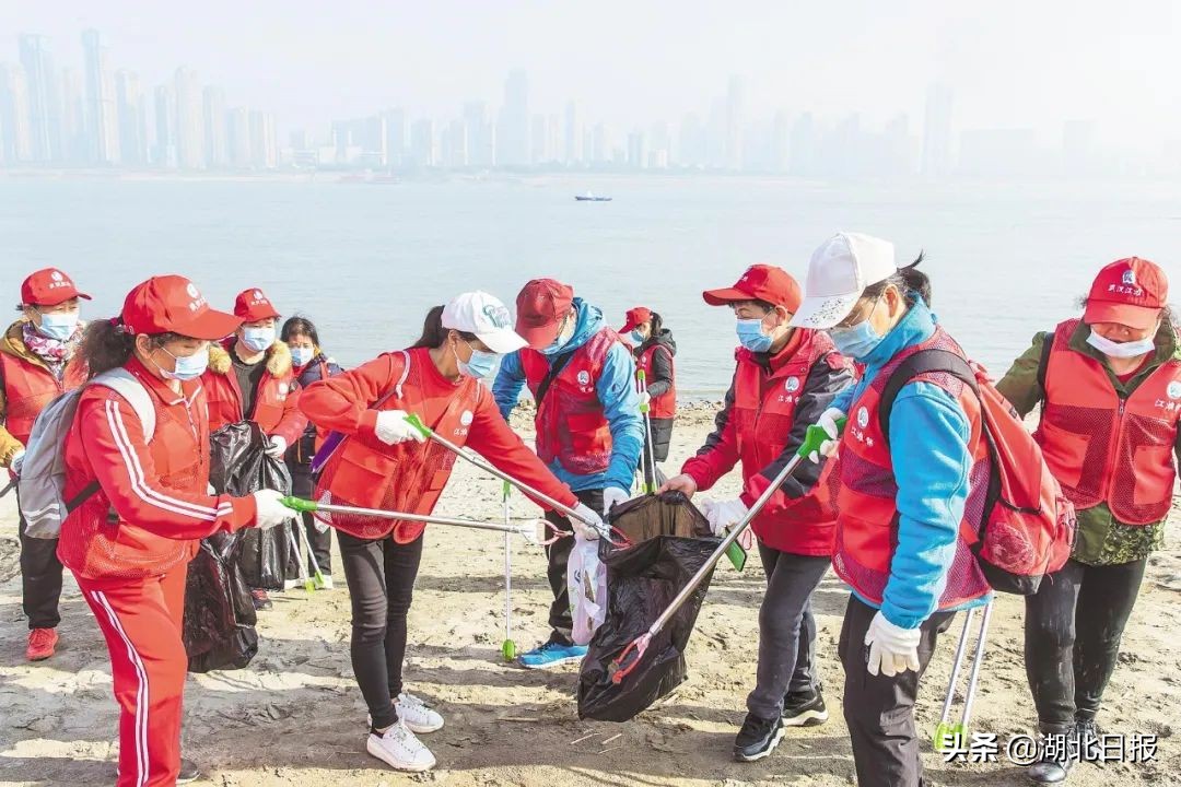 长文最新更新视频,重磅文章最新