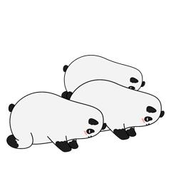 动物表情包沙雕魔性,沙雕动物爆笑瞬间表情包