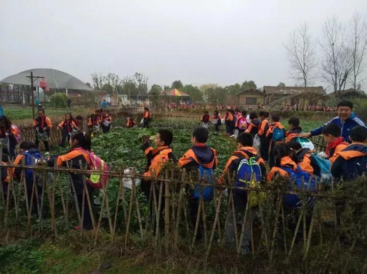 读道分享｜只有120亩的庄园，依靠自然+营地教育，每年游客超十万