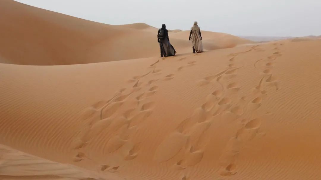 沙丘被称为烂片的原因,沙丘是烂片还是好片