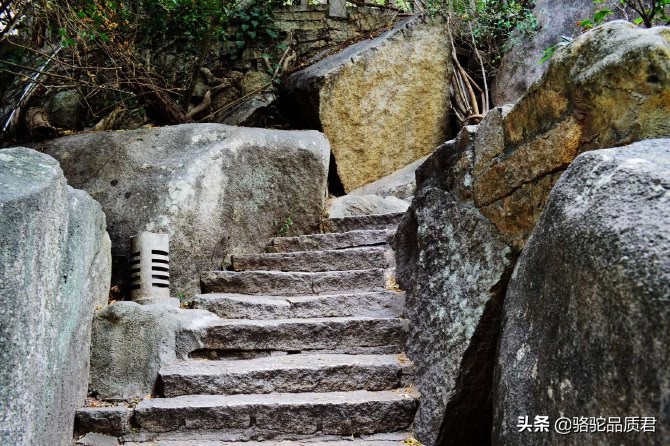 厦门海边之旅,厦门小众旅游体验