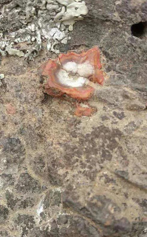 见证了地球变化的石头,岩石如何记录地球演化历史