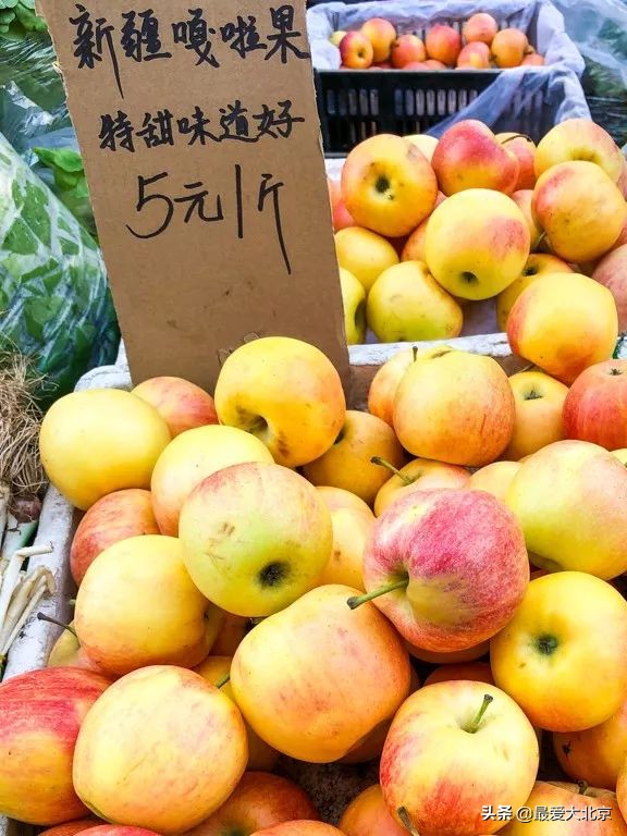 最便宜的早市品种,北方早市有哪些品种