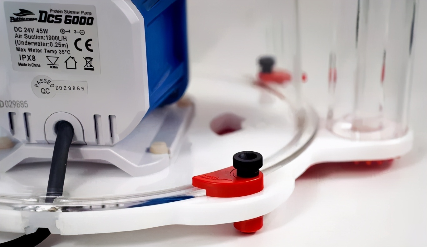 海精灵好物分享,海精灵蓝色珍品