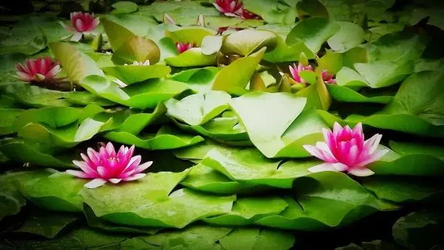 皮尺丈量和钢尺丈量区别,跳远成绩的皮尺正确丈量方法