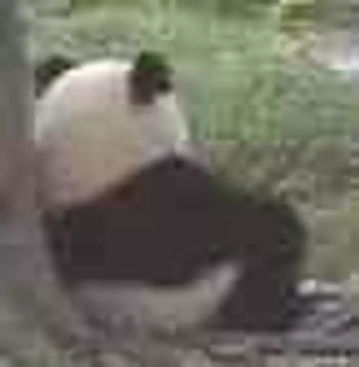 最火的韩妆韩国人根本没听说过,韩国真正好用的韩妆