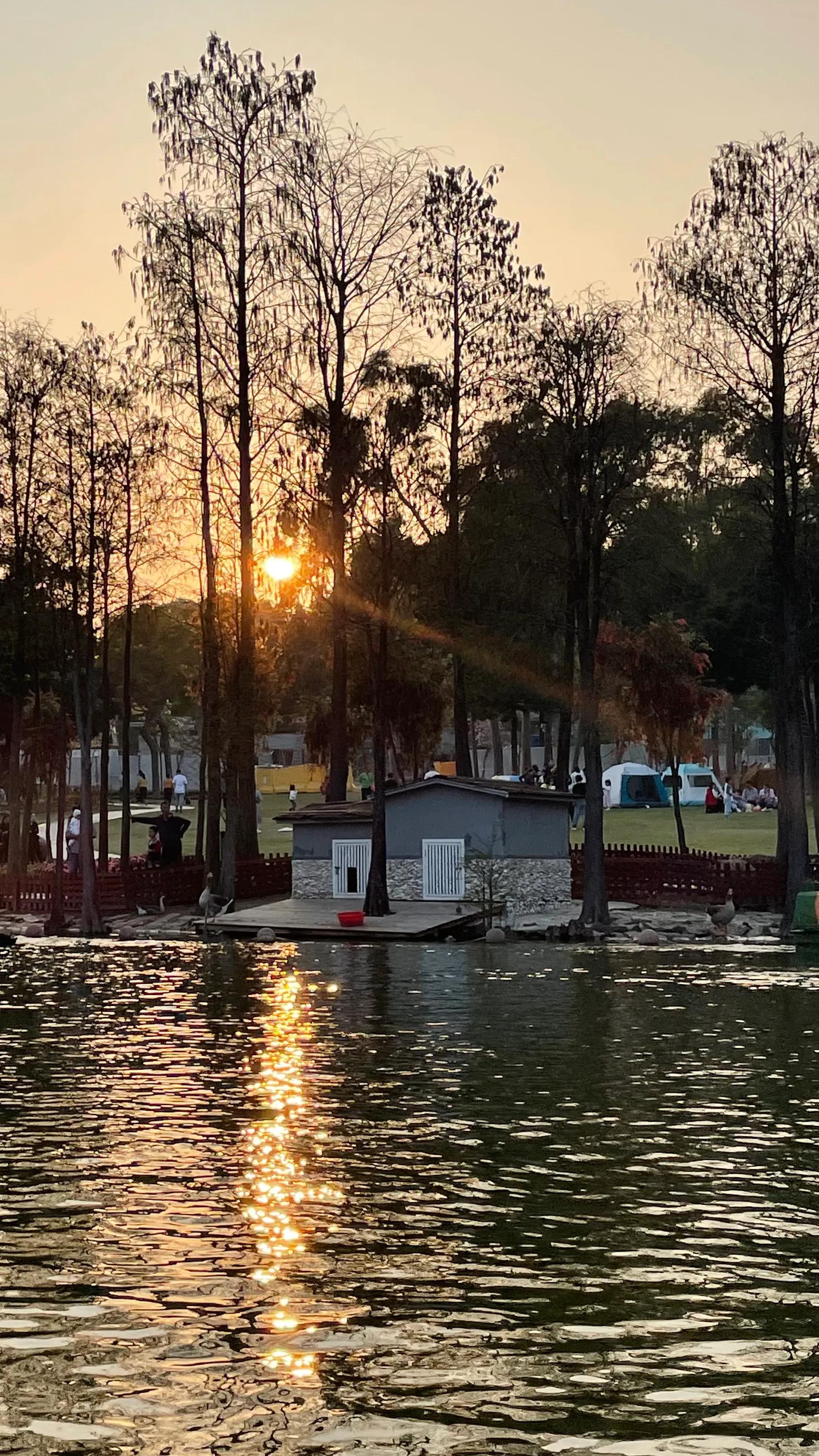珠海适合情侣玩的浪漫景点,珠海附近浪漫的风景